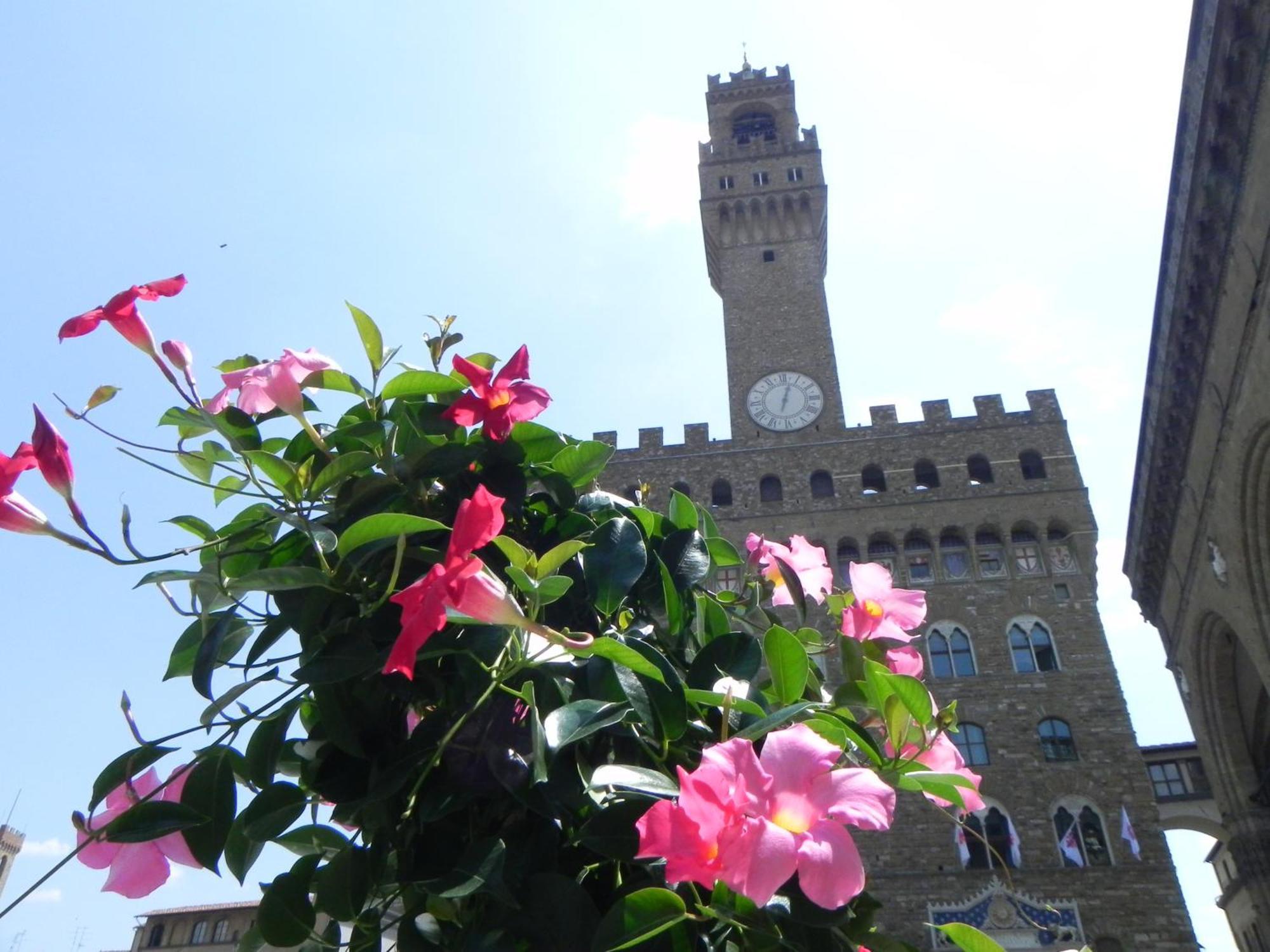Monolocale Gallo Florence Buitenkant foto